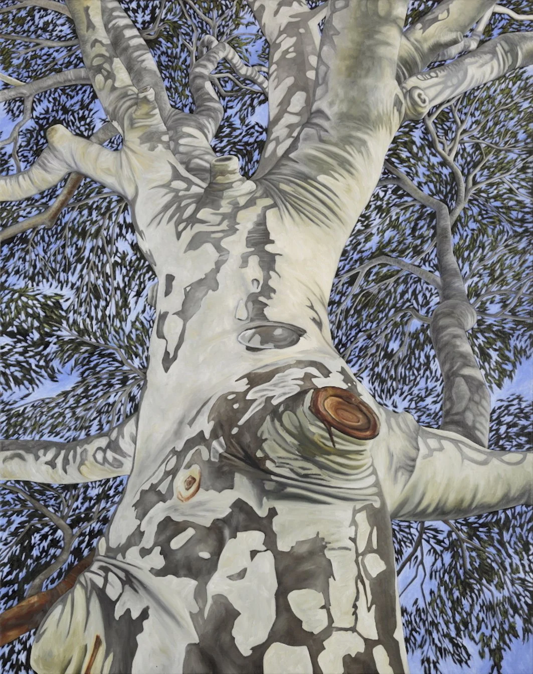 Arbor #4