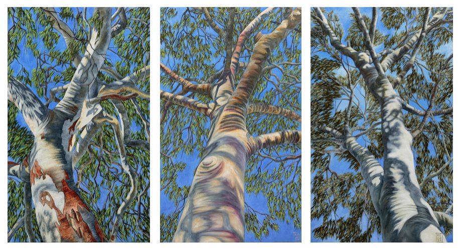 Arbor #5, #6, #7