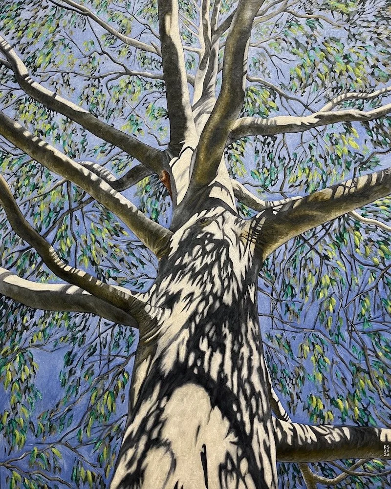 Arbor #8