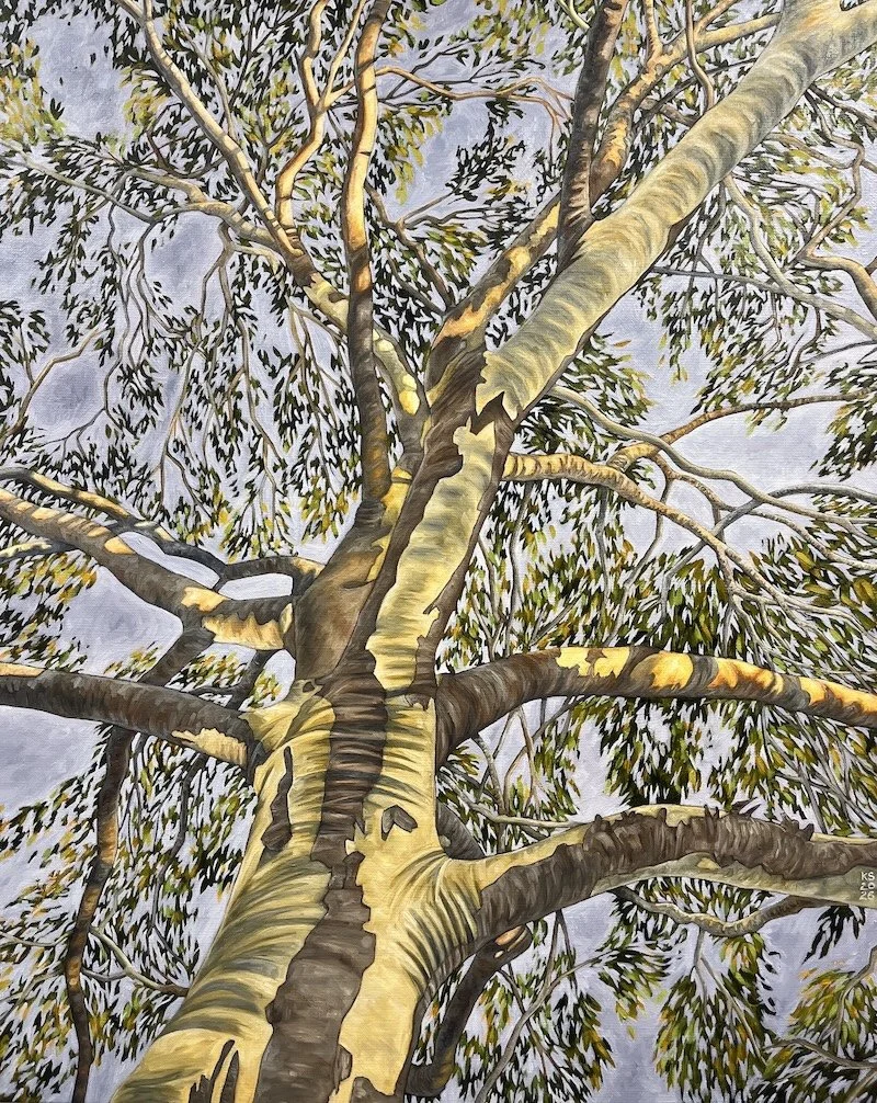 Arbor #9