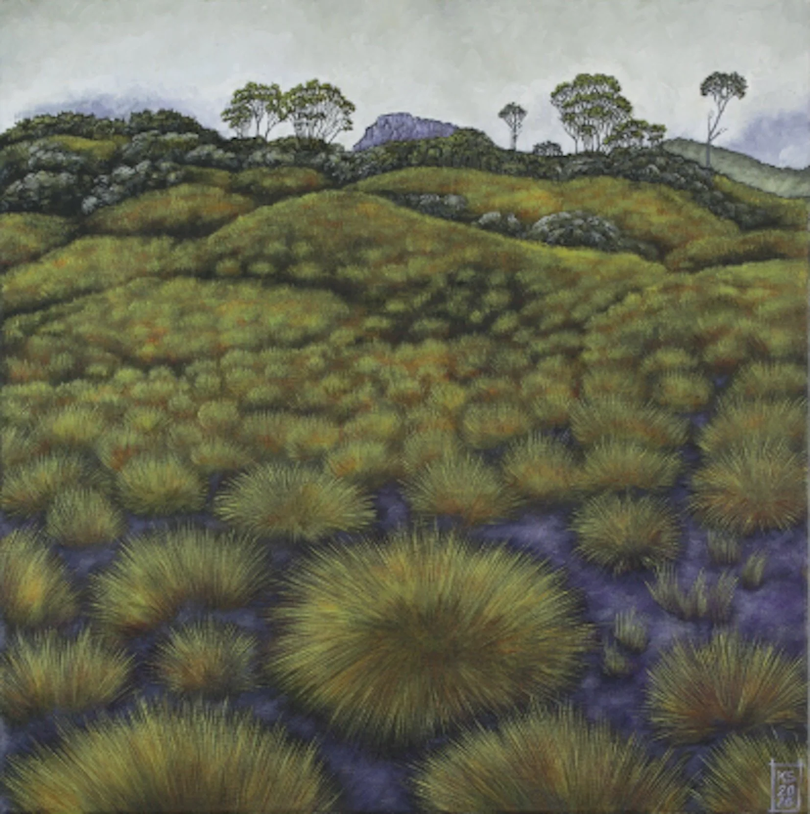 The Hills - Tasmania Landscape VIII