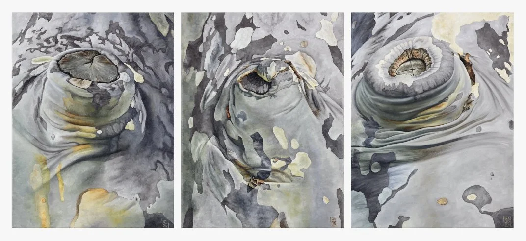 Lost Limbs Triptych #3 web:TIm .JPG