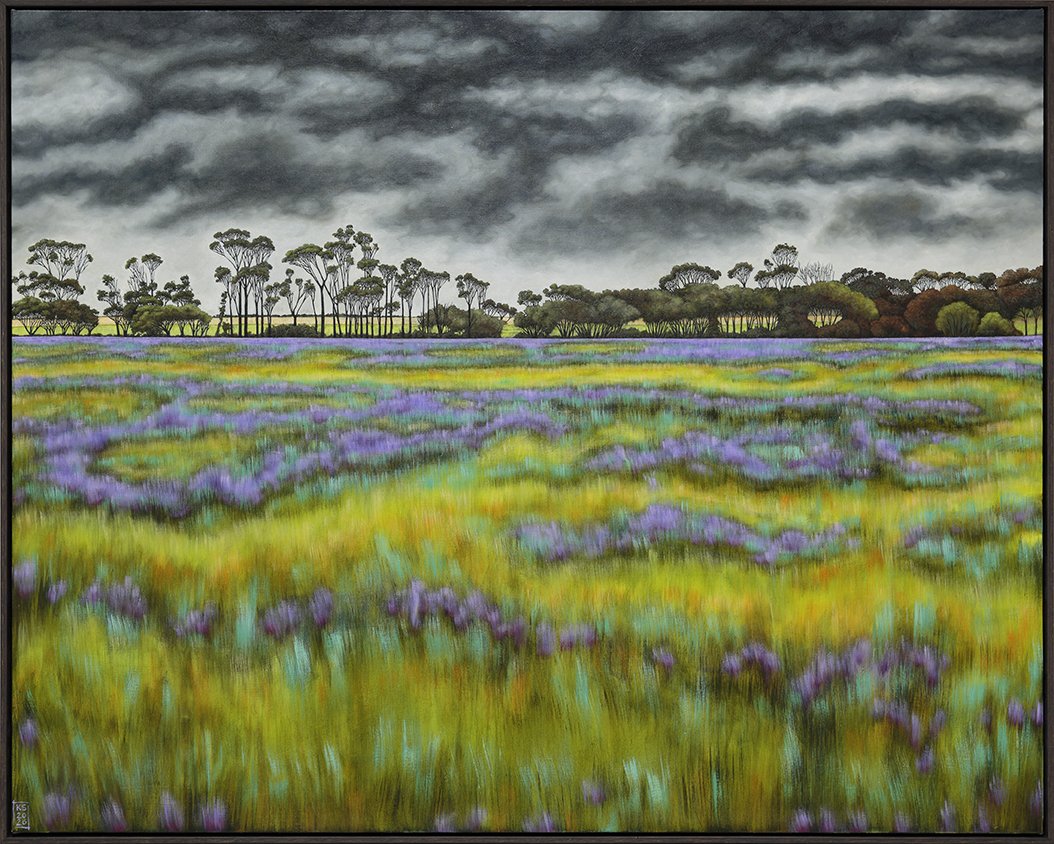 Bellbrae landscape #1- Patterson's curse .jpg