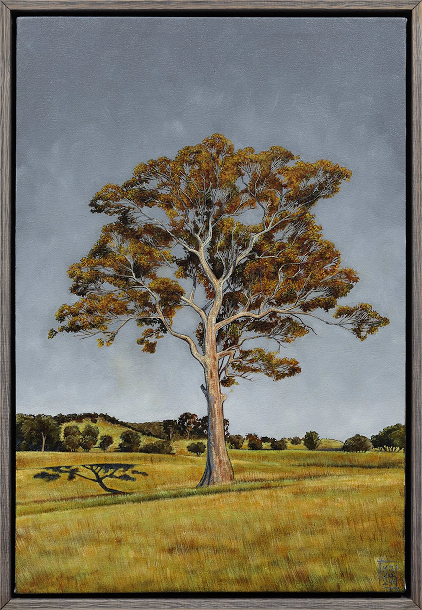 Pyrenees Landscape #16 The Tree.jpg