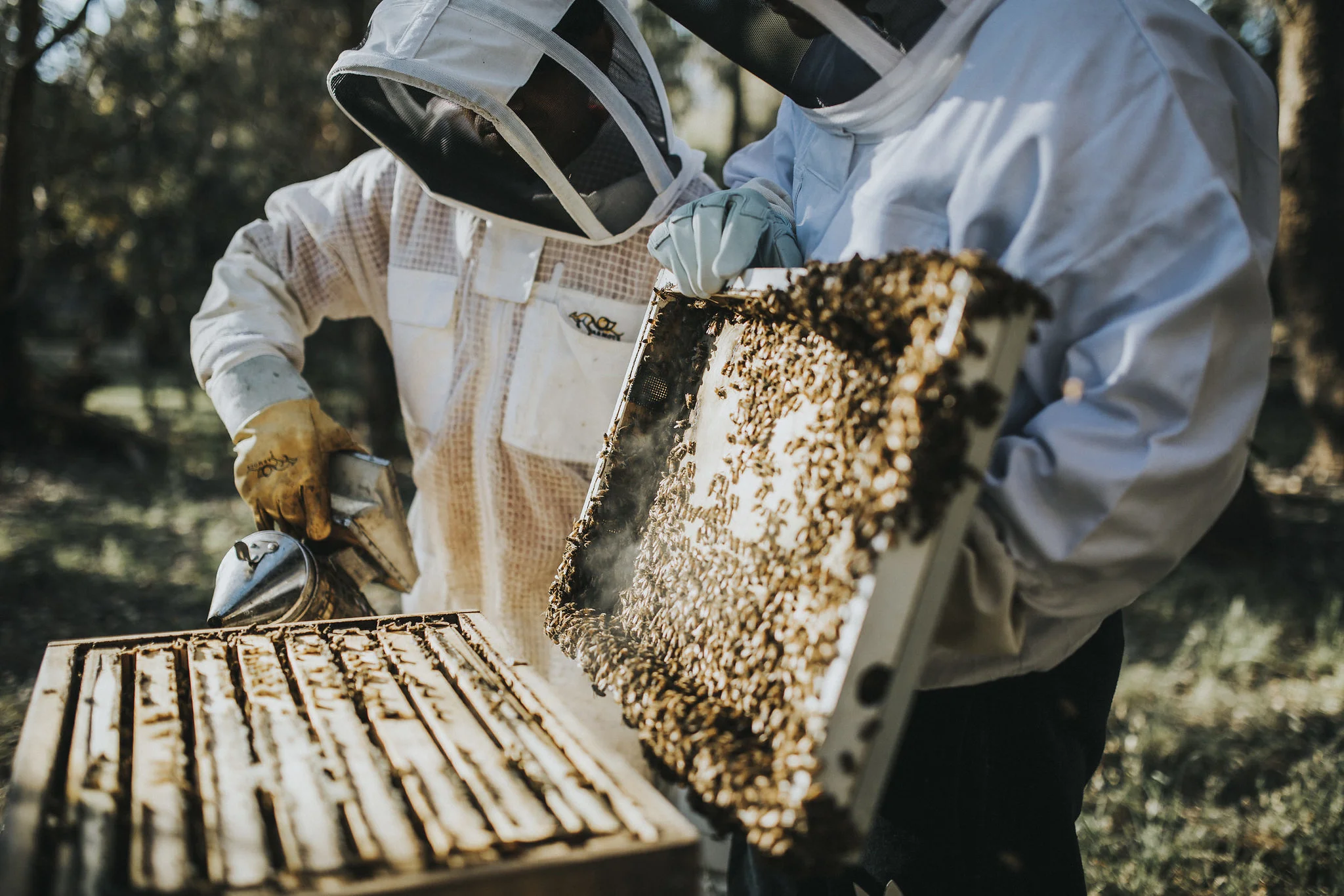 furiousbeehoneyco_04.jpg