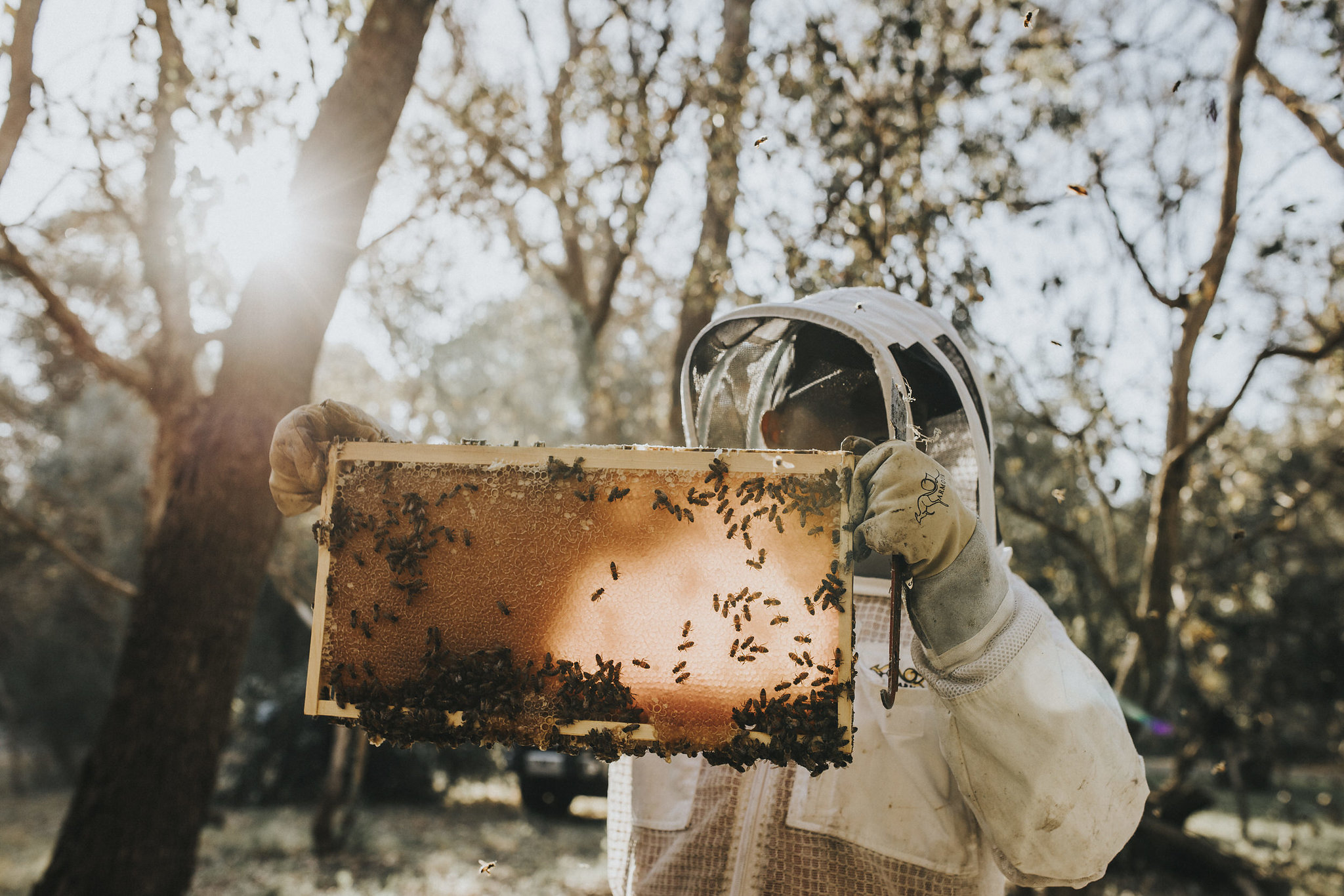 furiousbeehoneyco_06.jpg