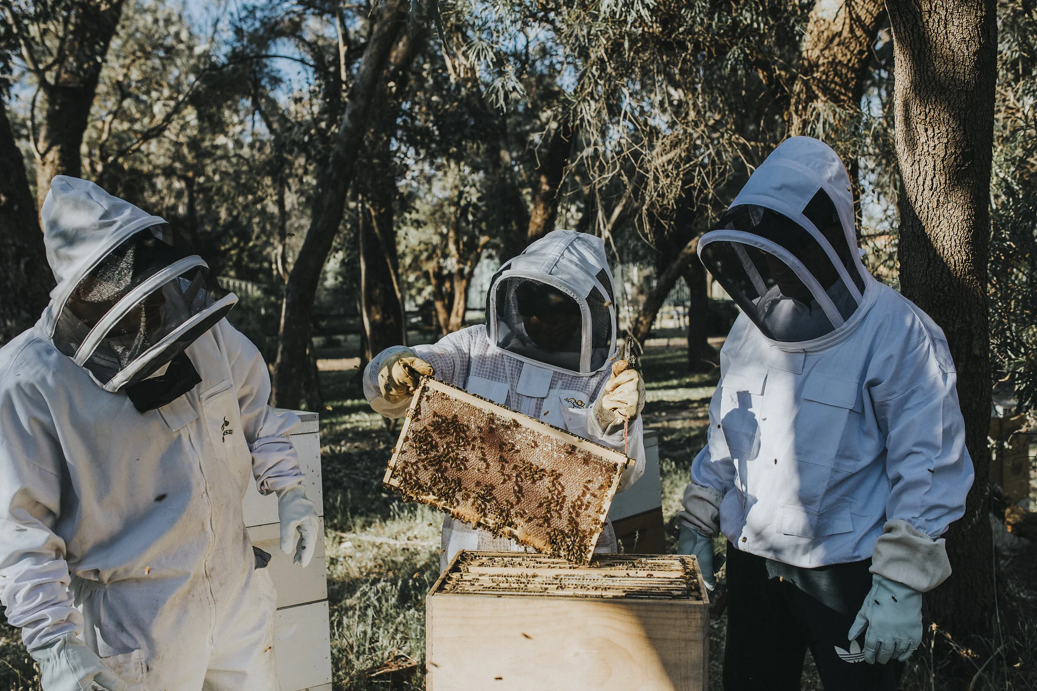 furiousbeehoneyco_05.jpg