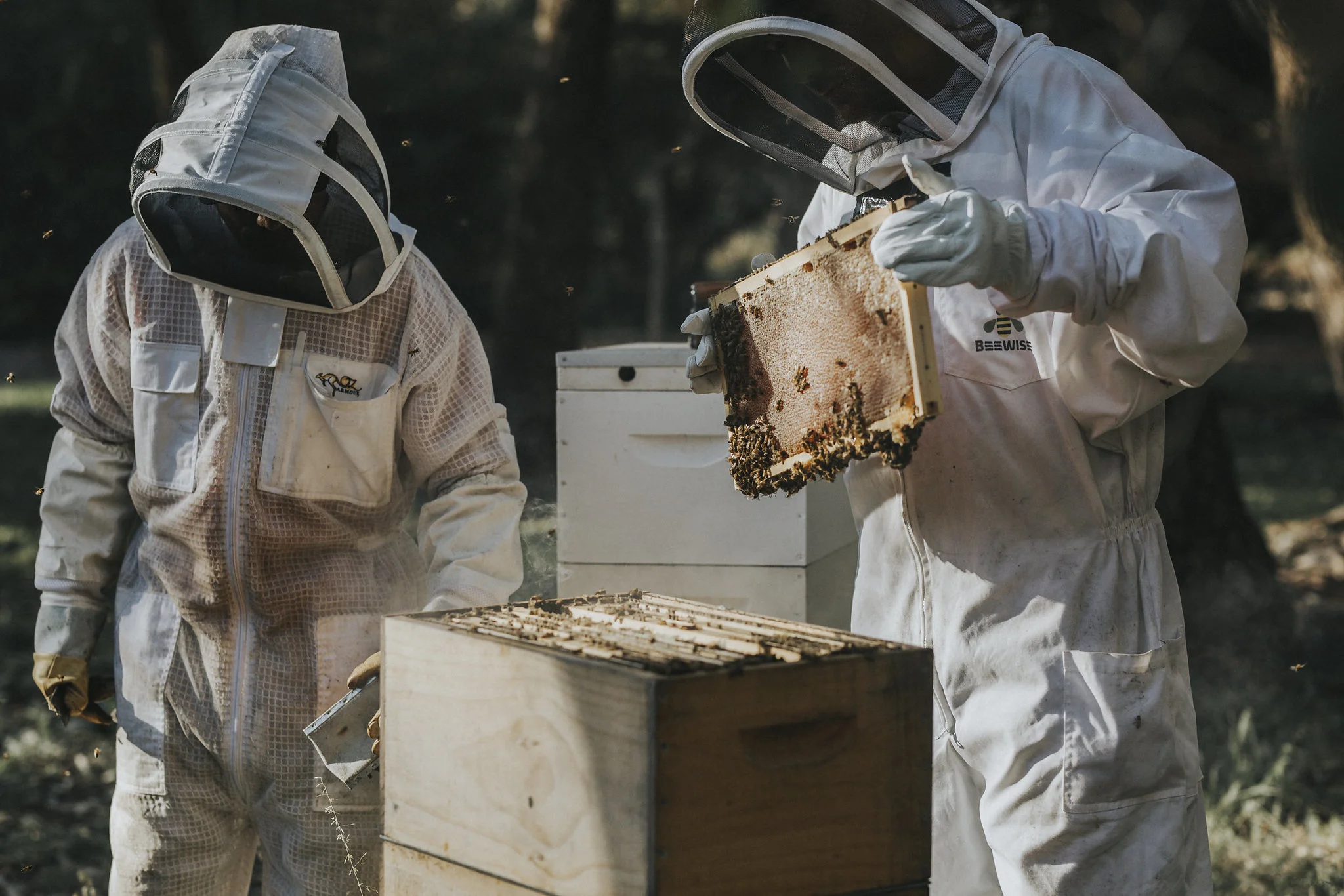 furiousbeehoneyco_07.jpg