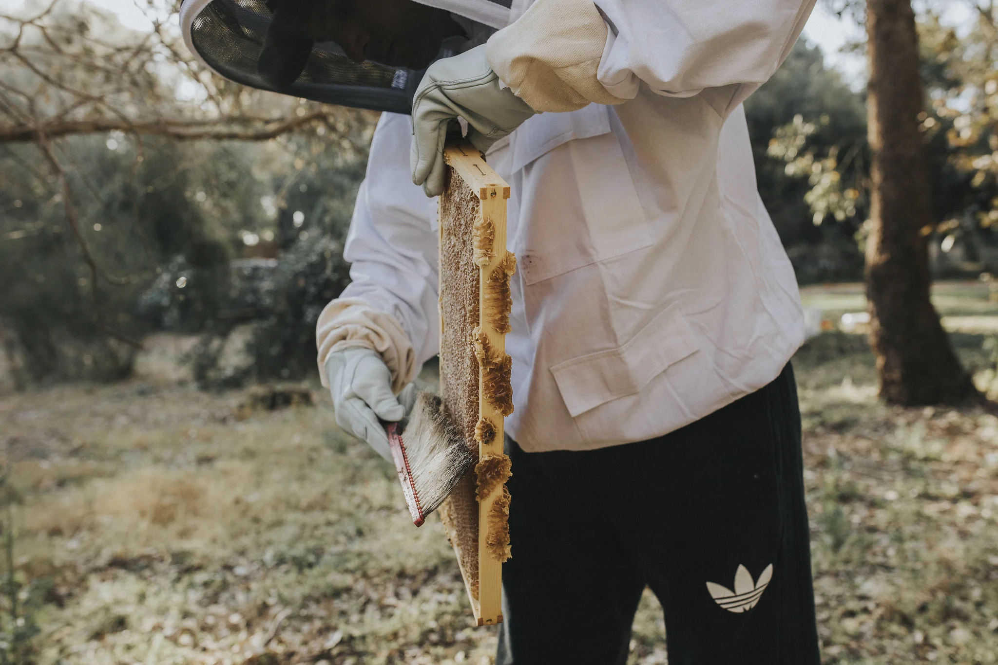 furiousbeehoneyco_08.jpg