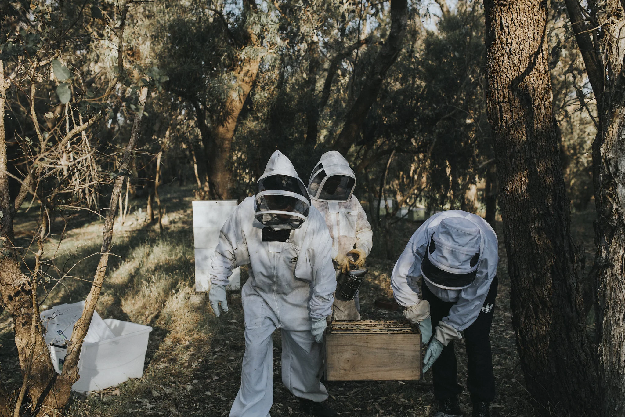 furiousbeehoneyco_13.jpg