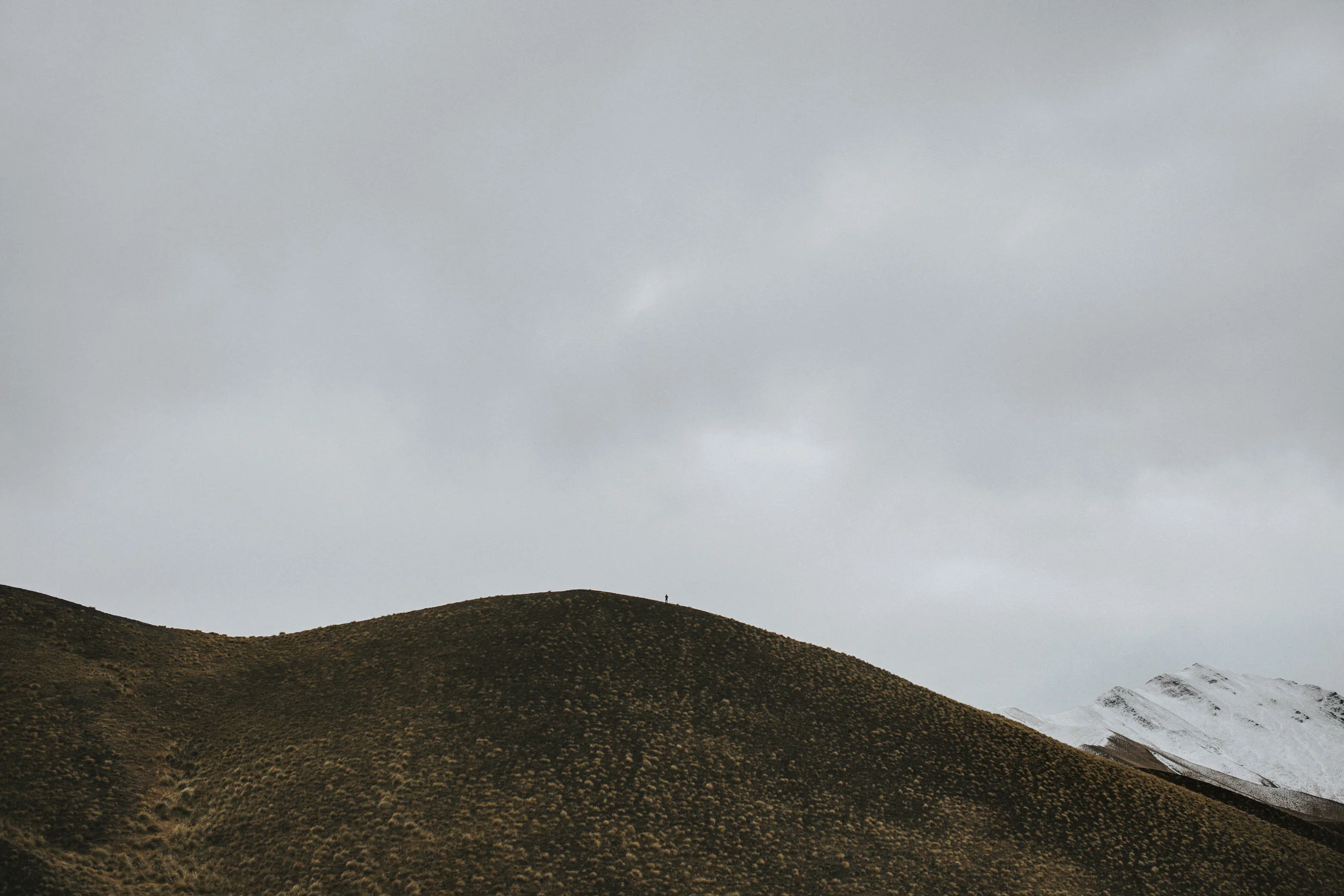 8_IN SEARCH OF SOMETHING.jpg