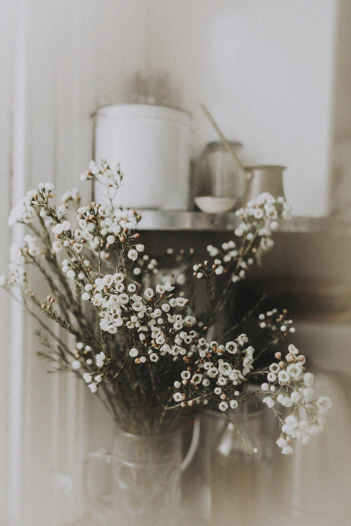 sunday_morning_hannah_jones_.jpg