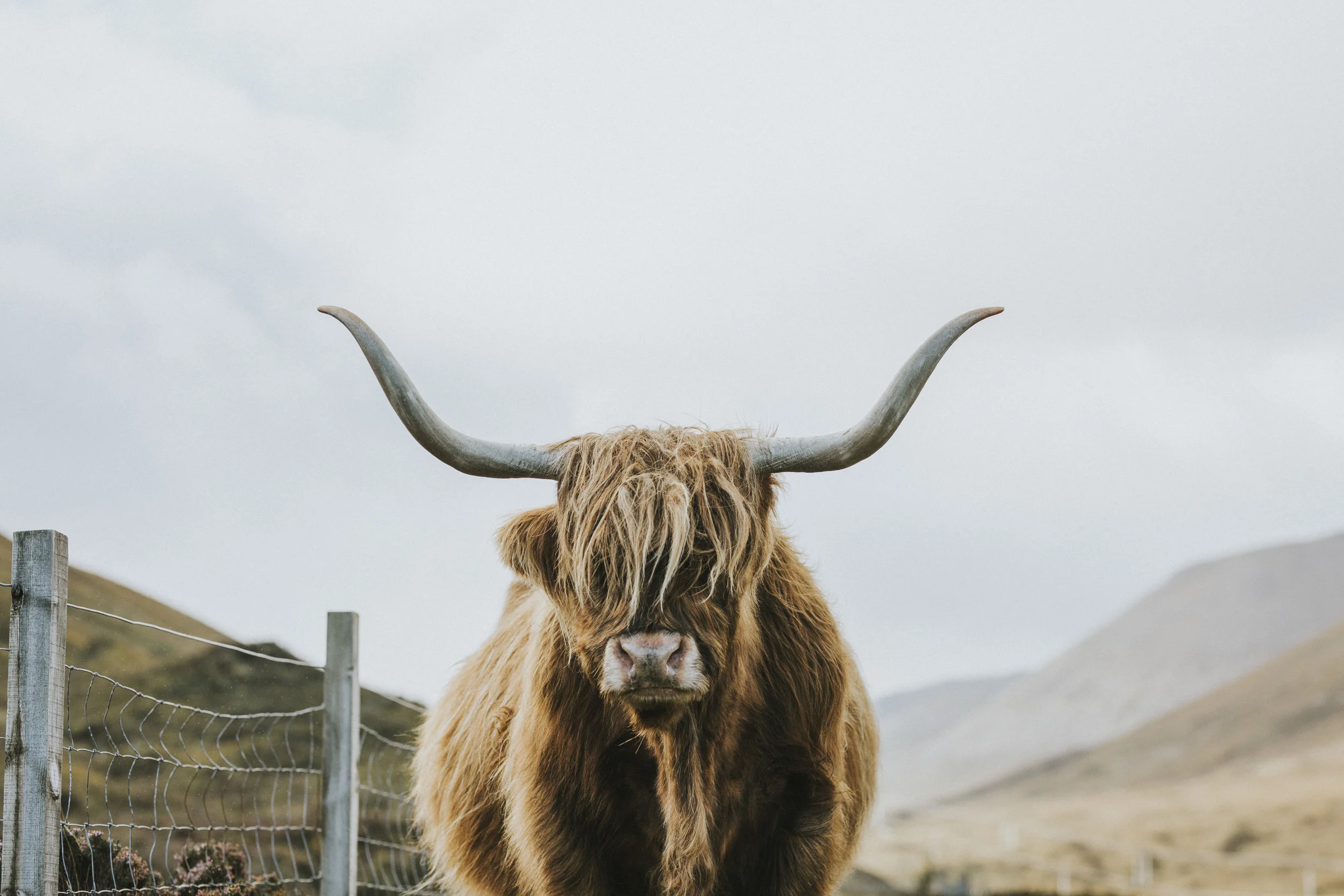scotland_21.JPG
