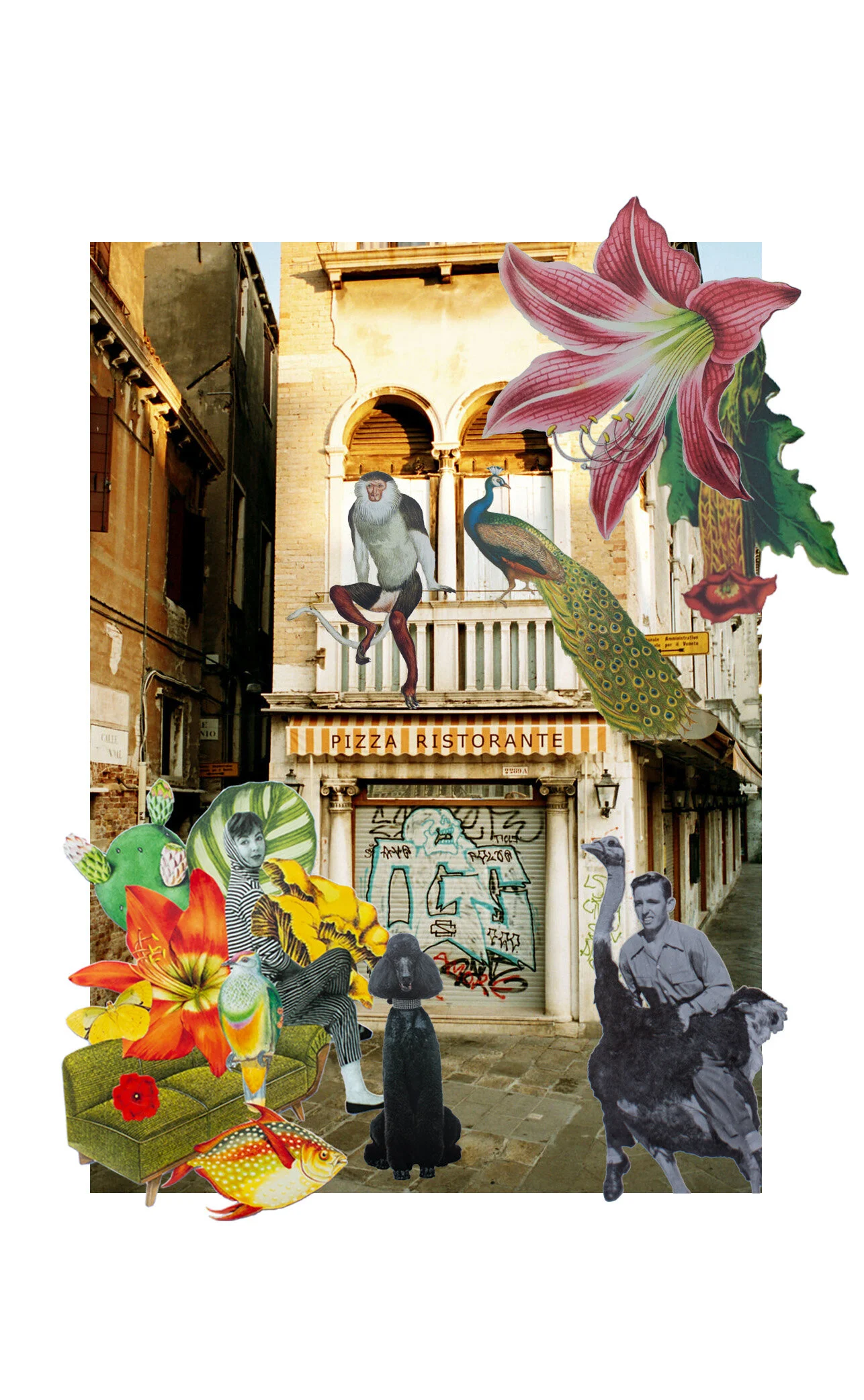 MENAGERIE_3.jpg