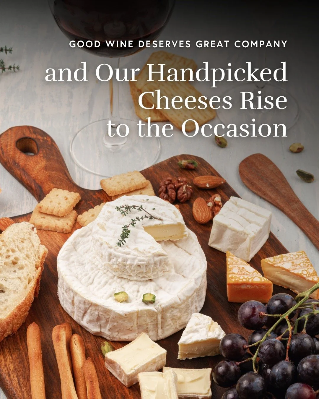 Pairing cheese and wine is both science and art. We draw on years of expertise and trusted suppliers to create combinations that feel effortless and taste unforgettable. Every tasting brings a thoughtful balance of texture, flavour and aroma, giving 