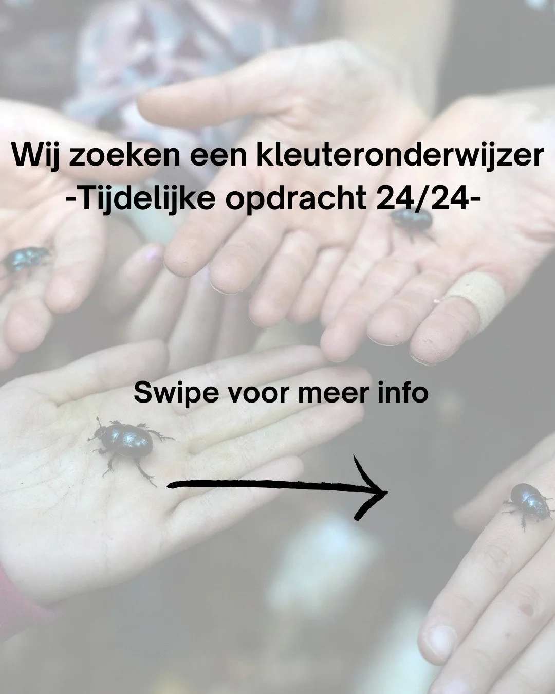 Wij zoeken een kleuteronderwijzer voor een tijdelijke opdracht (24/24) van 5/1/2026 - 3 /4/2026.

Interesse? Swipe voor meer info of ga naar onze website in bio. 

#landelijkesteinerschoolmunte #munte #landelijk #dorpschool #steineronderwijs #steiner