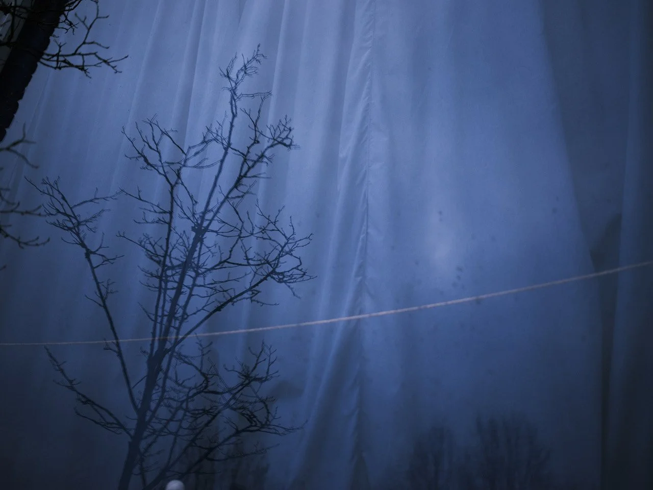 Maria-Lichtmis. 
Dit feest staat in het teken van de ontwakende aarde. Na de stilte van de winter begint de natuur weer tot leven te komen. Heerlijk om al naar die vroege lente te kunnen uitkijken.

#landelijkesteinerschoolmunte #munte #steineronderw