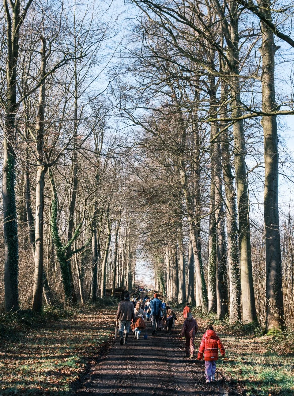 De lagere school plantte inheemse bomen in het Makenbos, een samenwerking met familie Verstraeten uit Munte. 

Het bos werd via handen ervaren, het hart ontmoet en het hoofd begrepen. 
Levend onderwijs 🔥🌱💫

#landelijkesteinerschoolmunte #munte #st