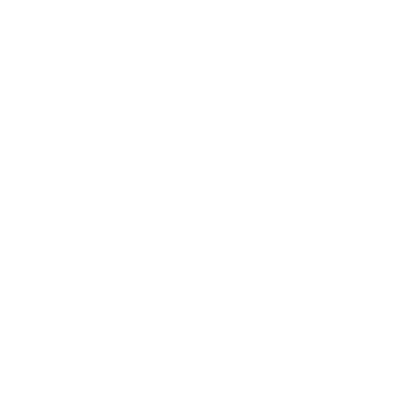 SAE Institute