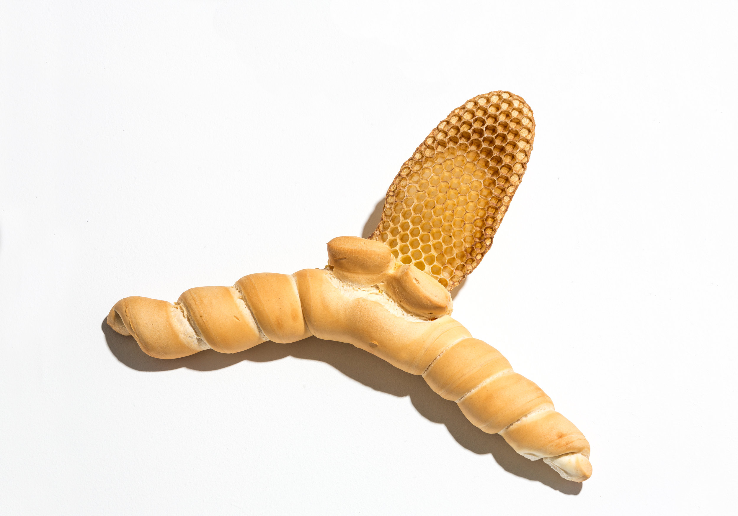 _SL_4495-Modifica.jpg