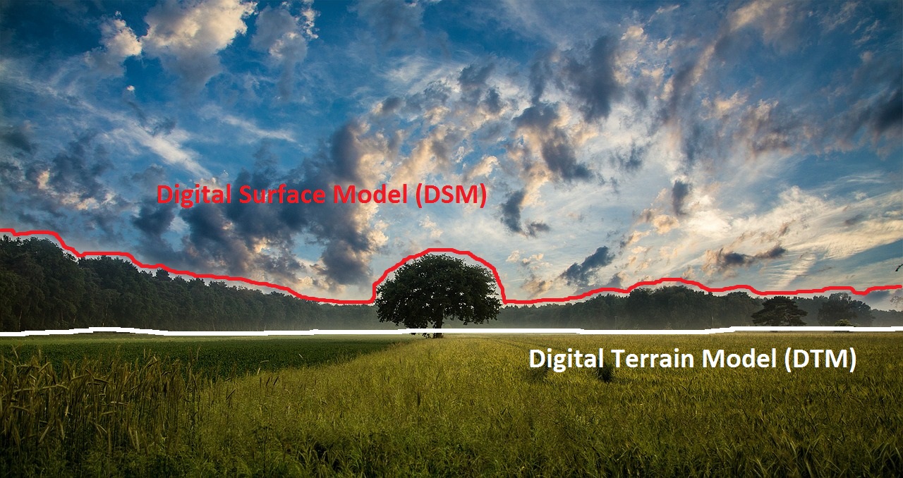 illustration of difference between dsm & dtm