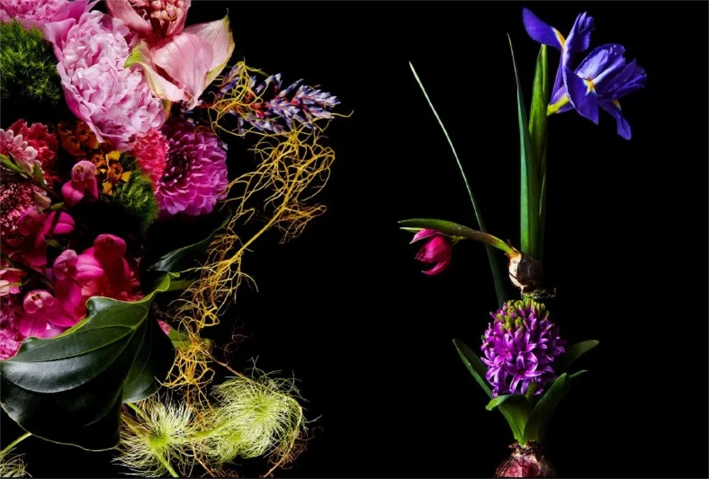 Flora magnifica inside 2.jpg