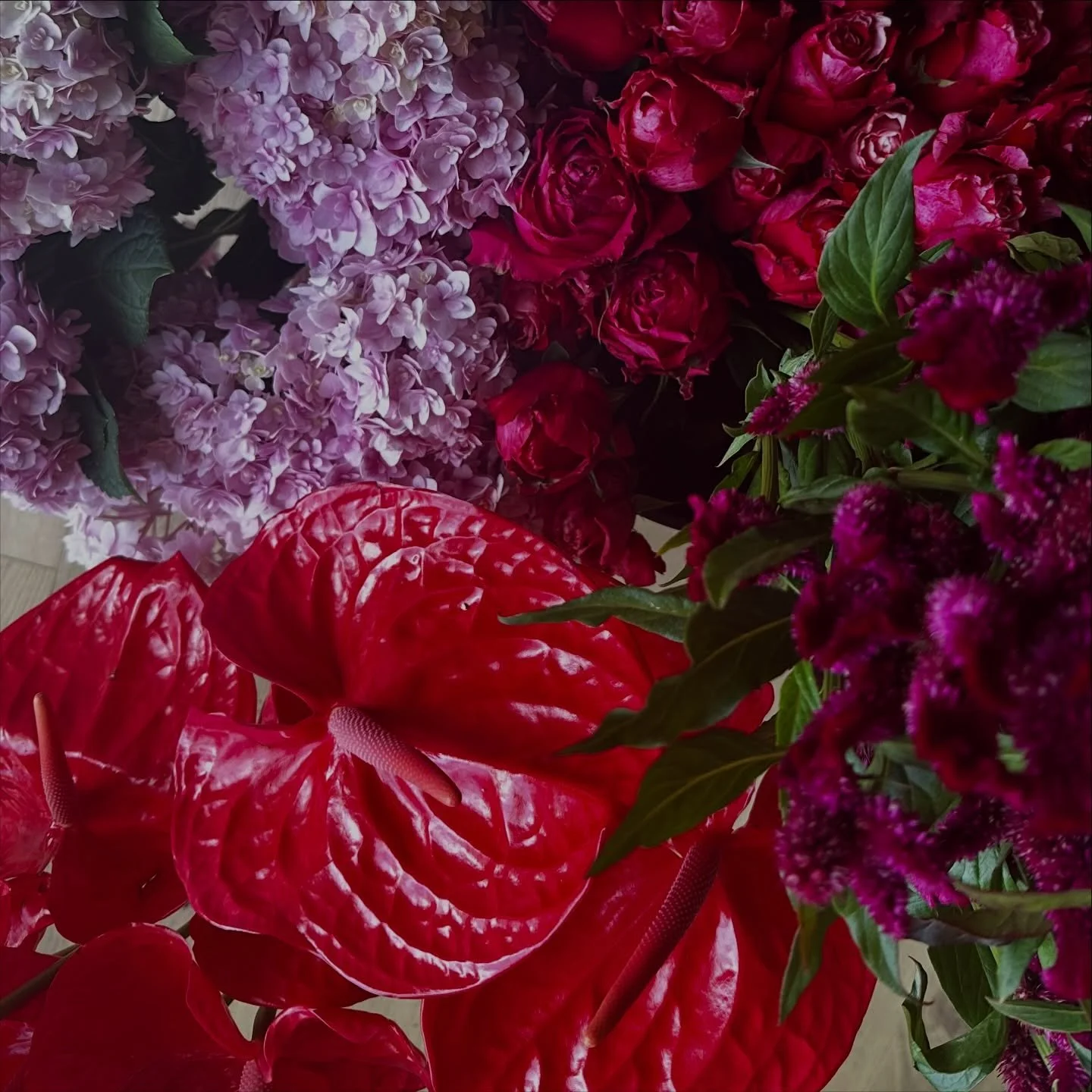 What's your go-to flower?

✨ pictured here, roses, hydrangeas, antheriums, celosia 

Click to order our unicorn bouquet 🦄, that means leaving it to our expert team to choose!

Delivering across Melbourne daily, from our inner west studio.