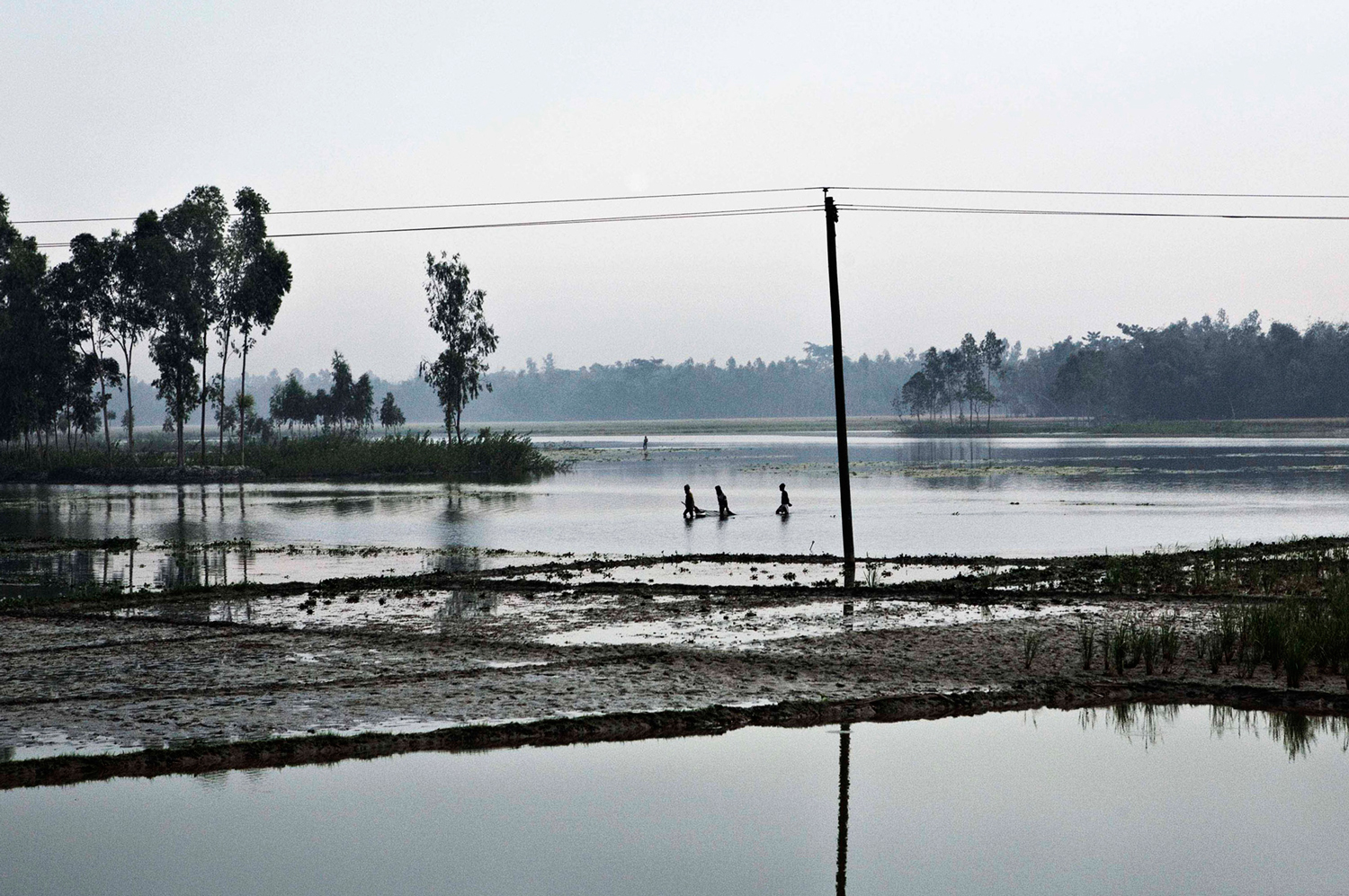 Harvest destroyed by flooding due to unpredictable rains