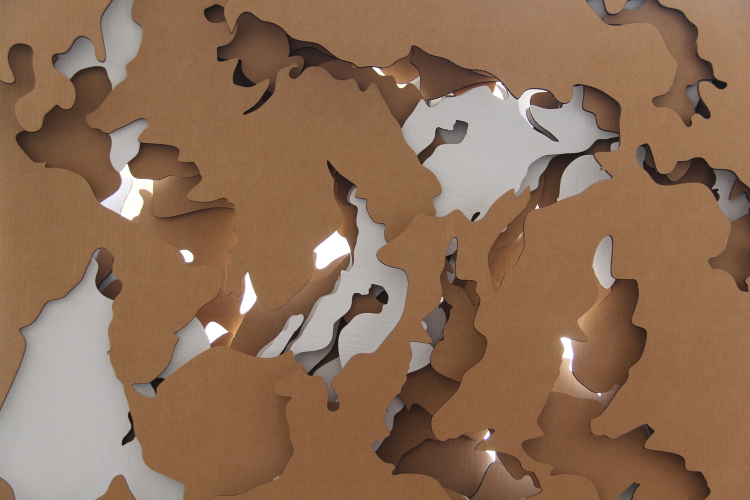 worldmap cardboard08.JPG