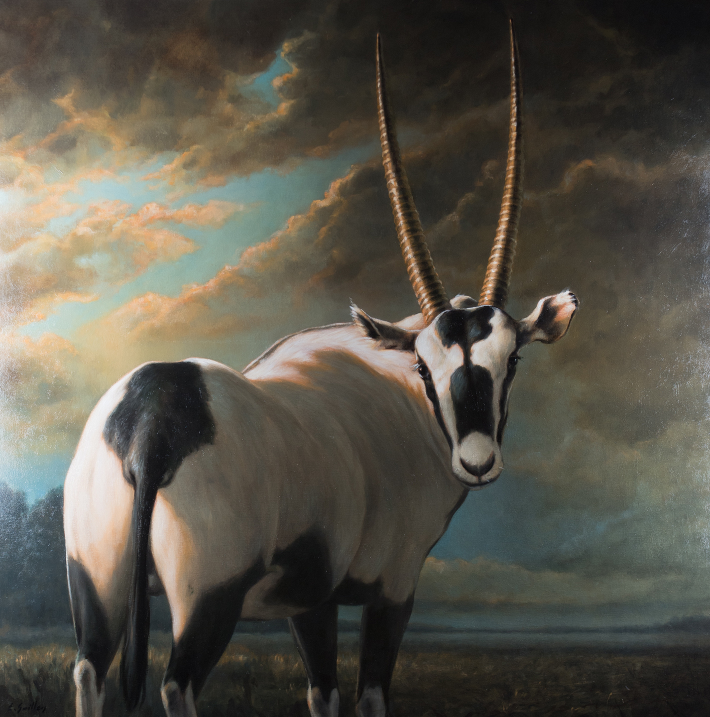 Orix, 150x150cm