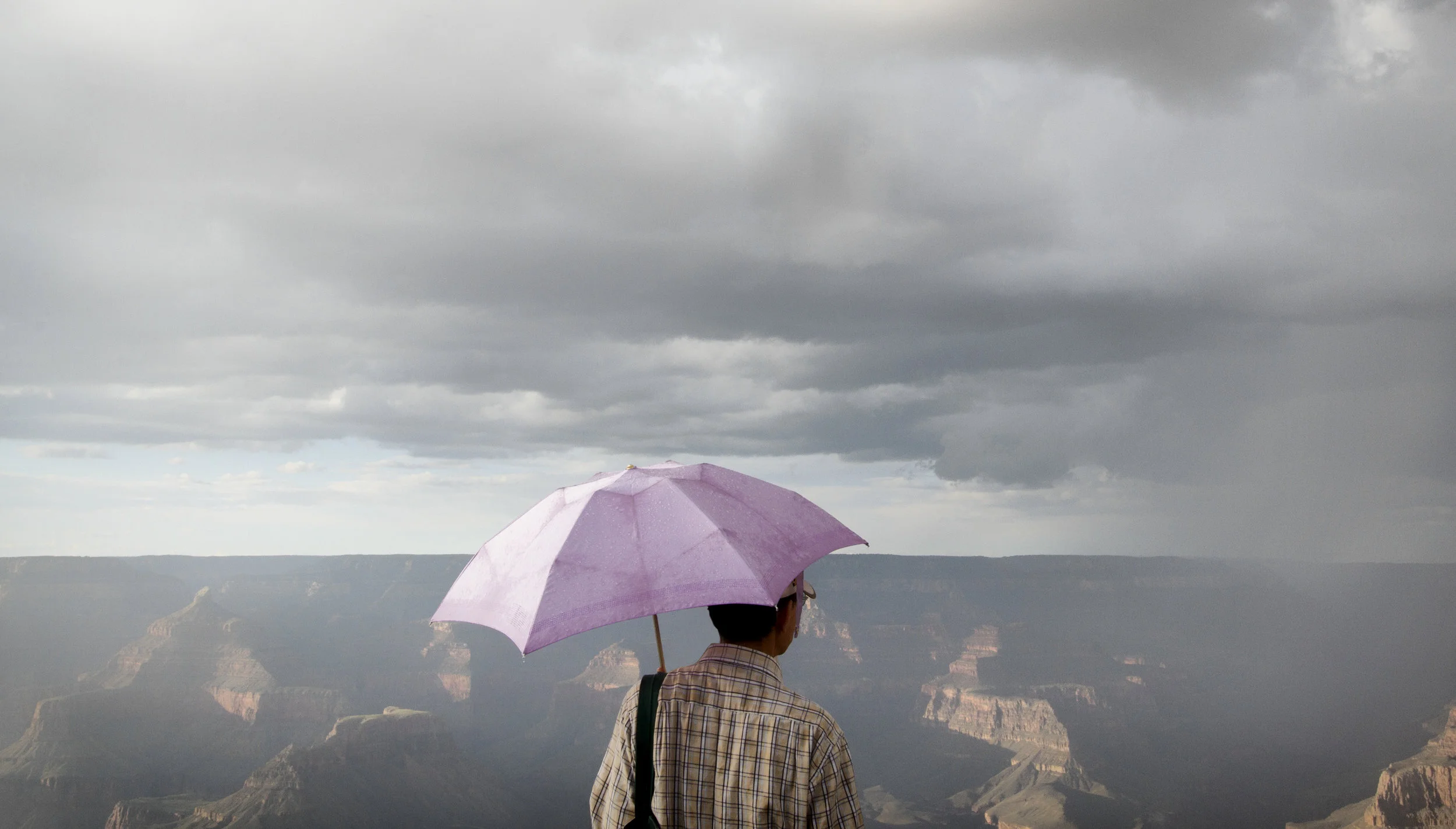 Pink Umbrella.jpg