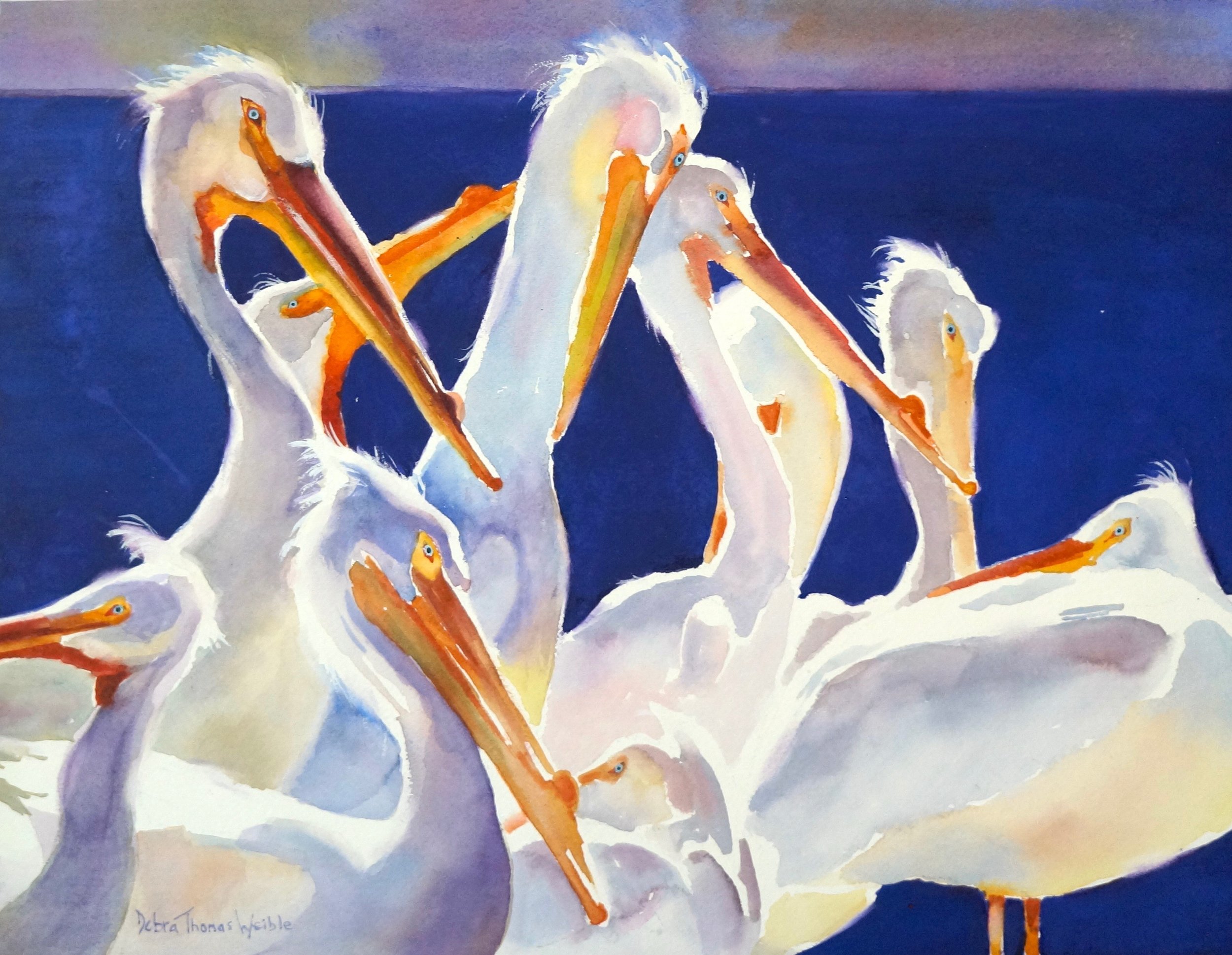 "Cedar Key Pelicans"