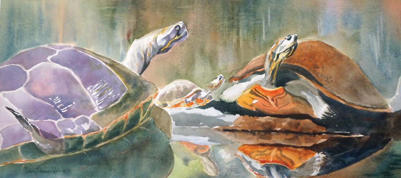 "River Turtles"