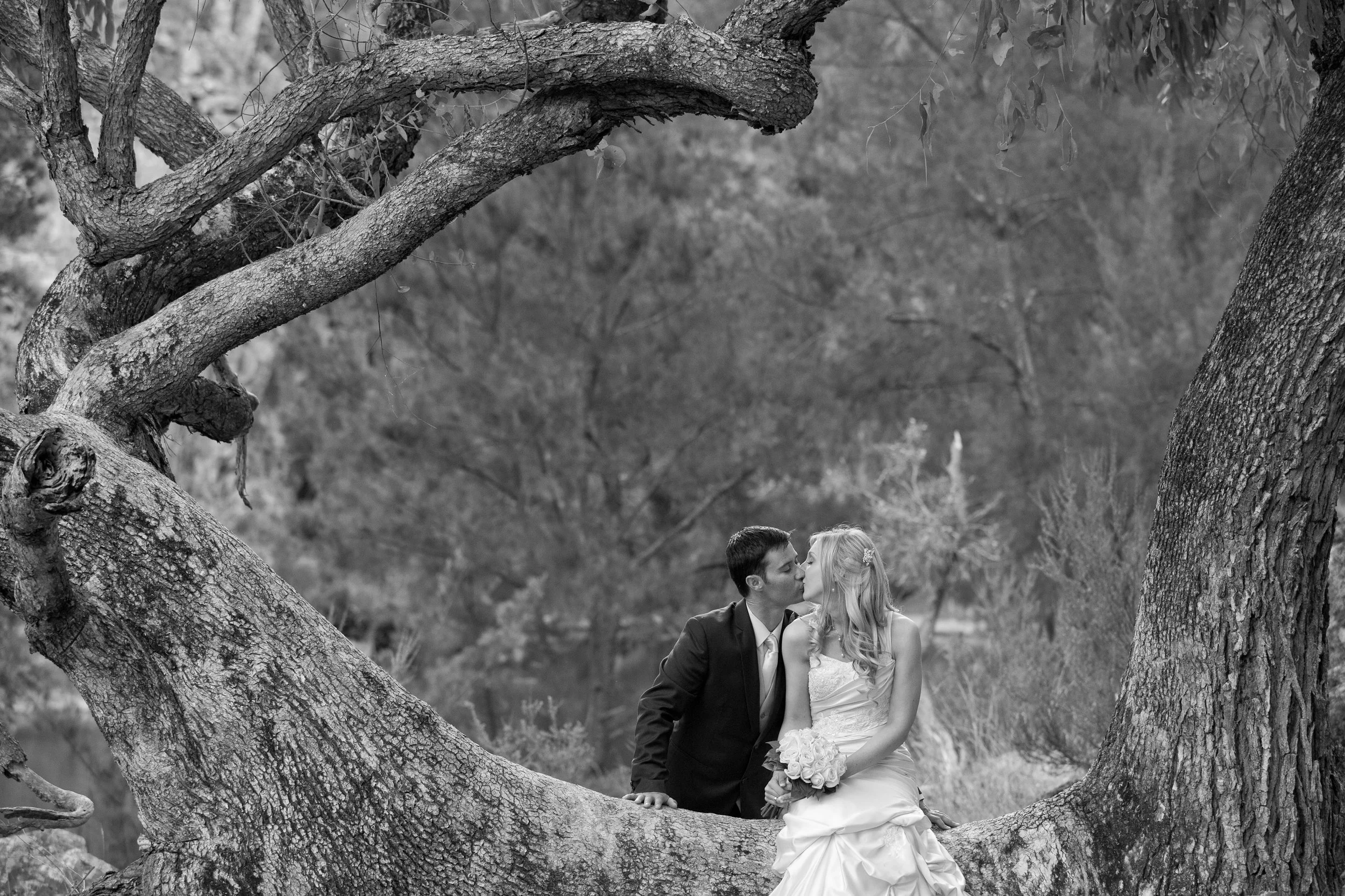 Simon Scott Photography — photo 10 of 18