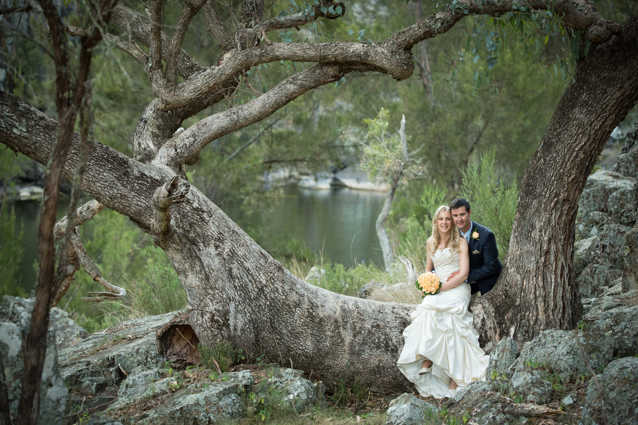 Simon Scott Photography — photo 14 of 18
