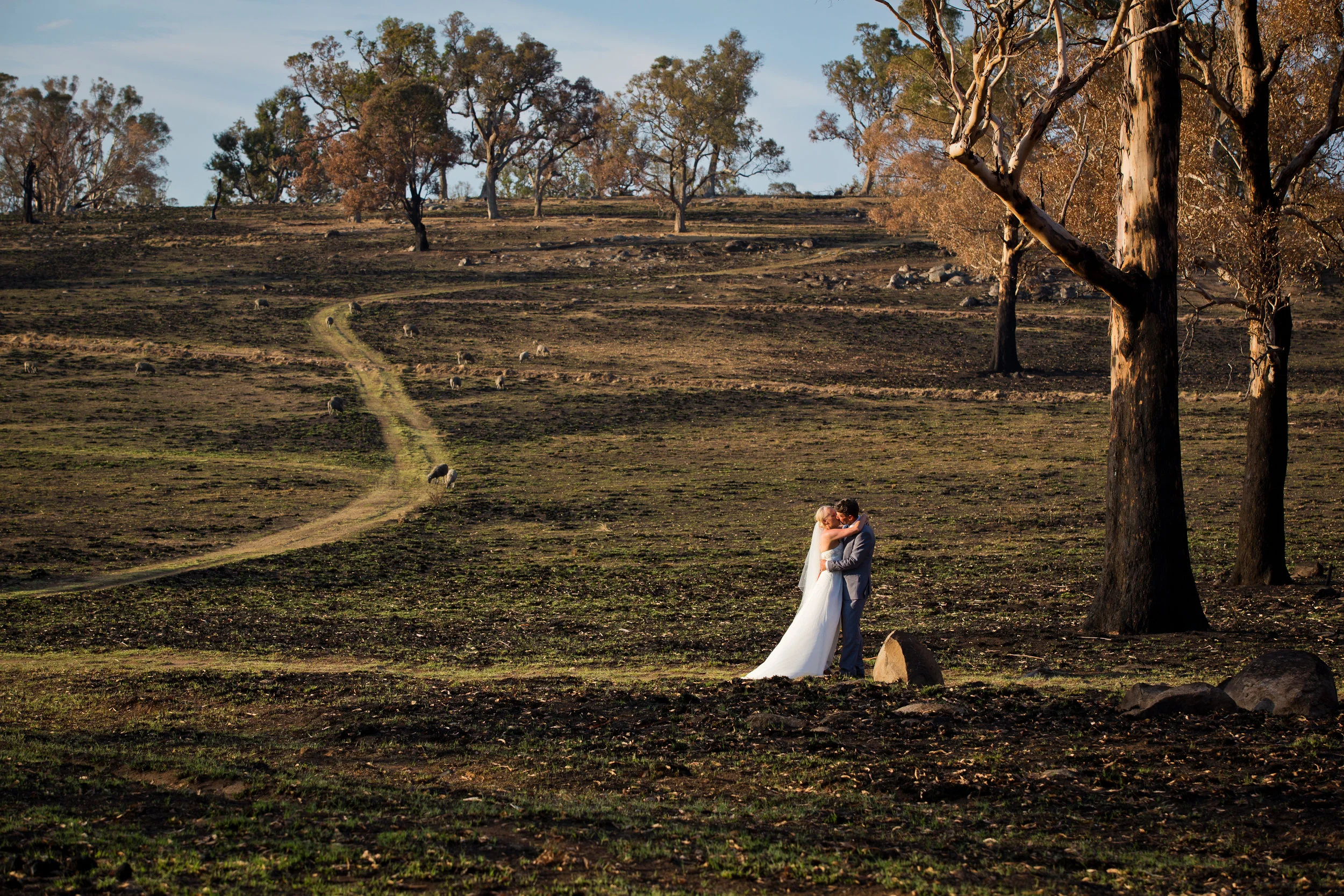 Simon Scott Photography — photo 16 of 18