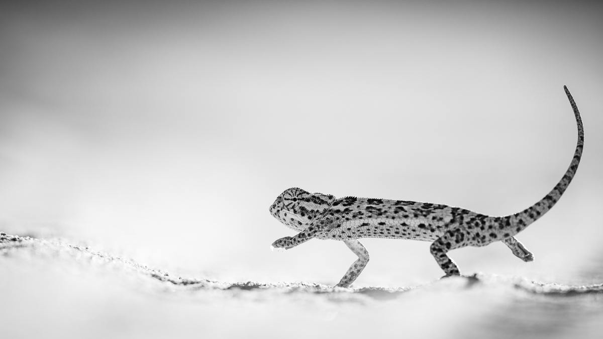 Small-14.jpg