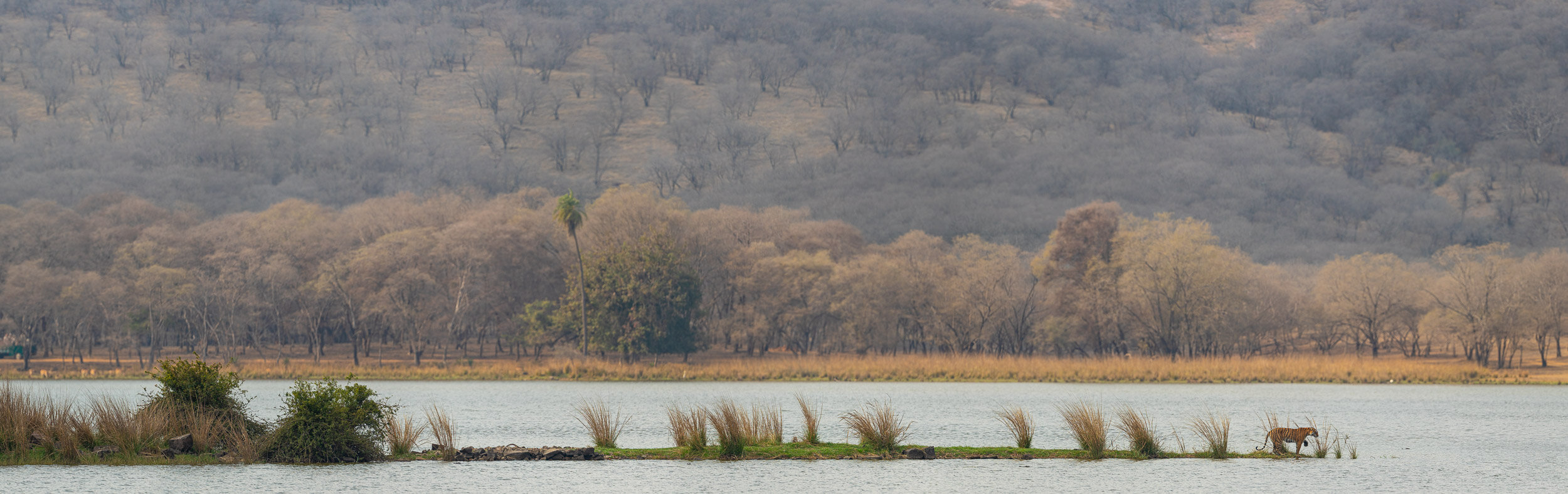 _MG_3020-Pano.jpg