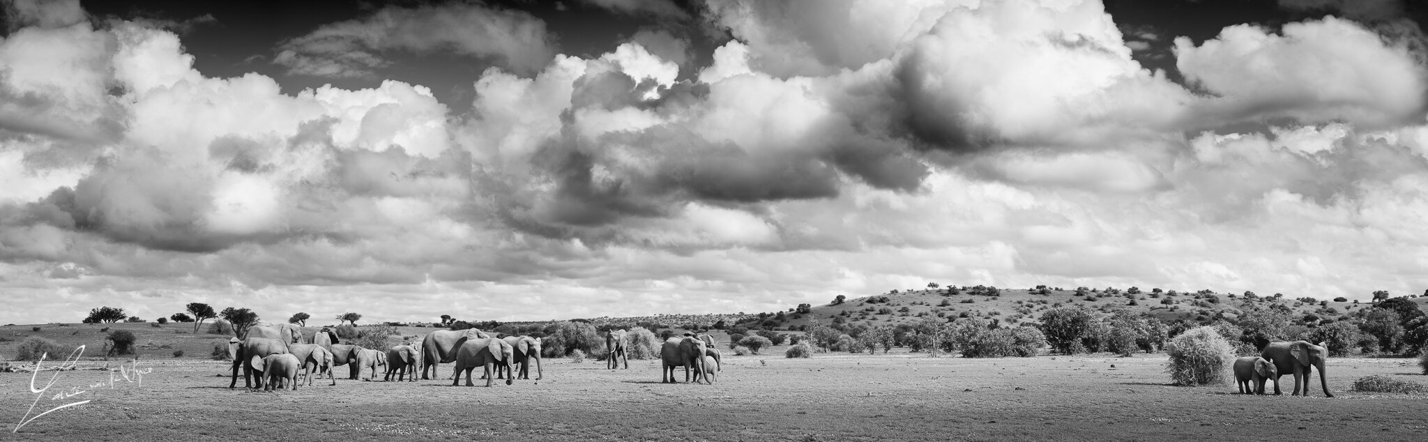 _DSR9956-Pano.jpg