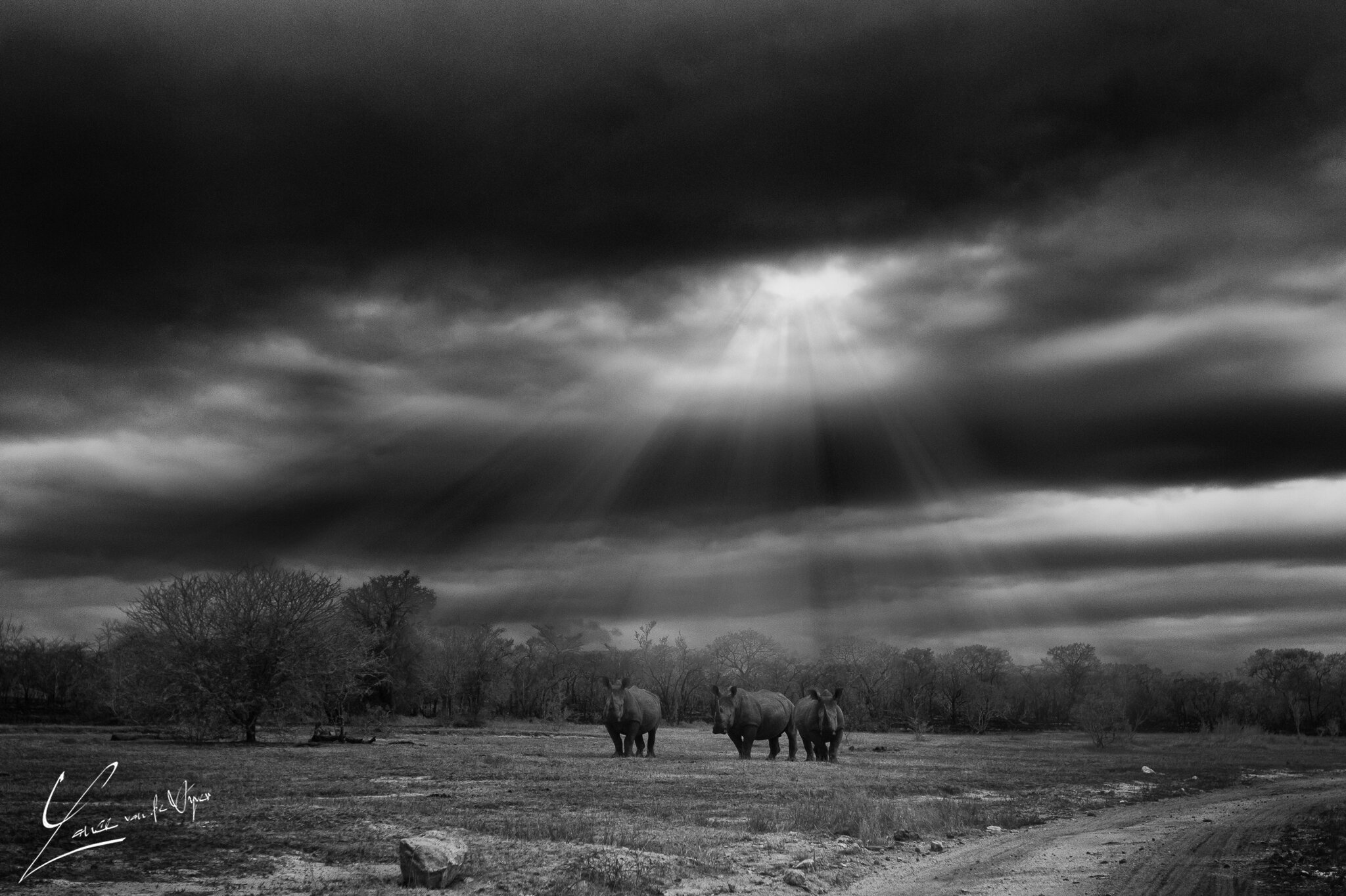 _L5F2632-2-Edit.jpg