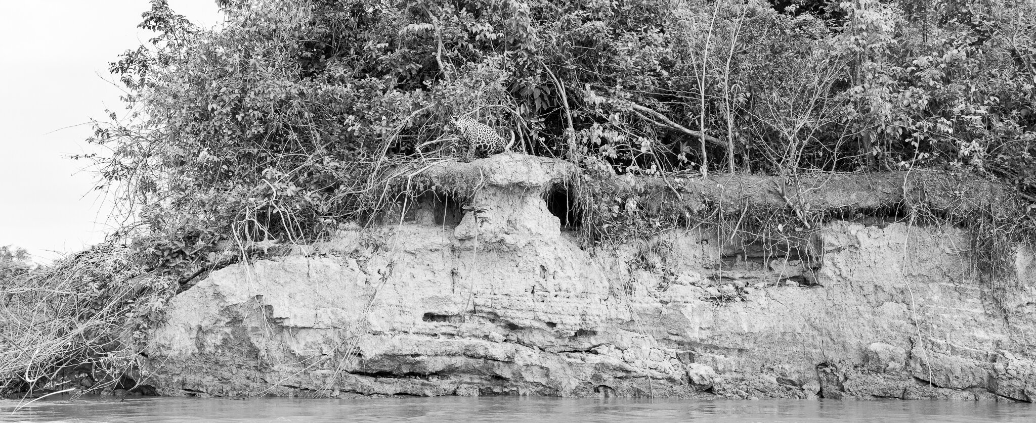 _MG_2836-Pano.jpg