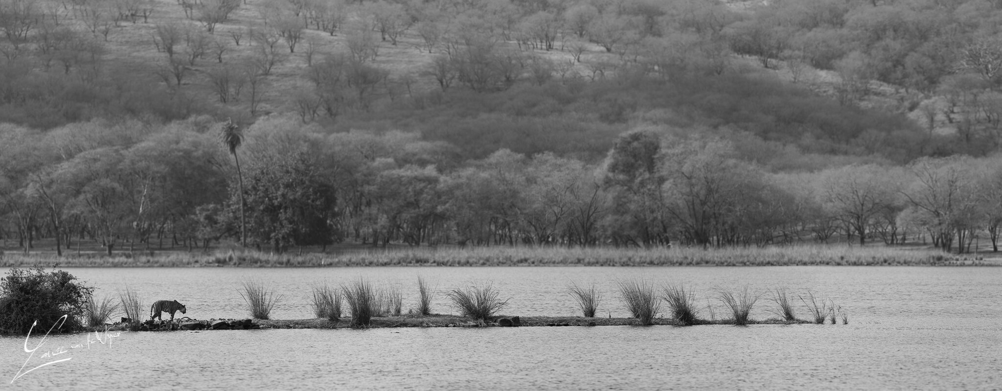 _MG_3004-Pano.jpg