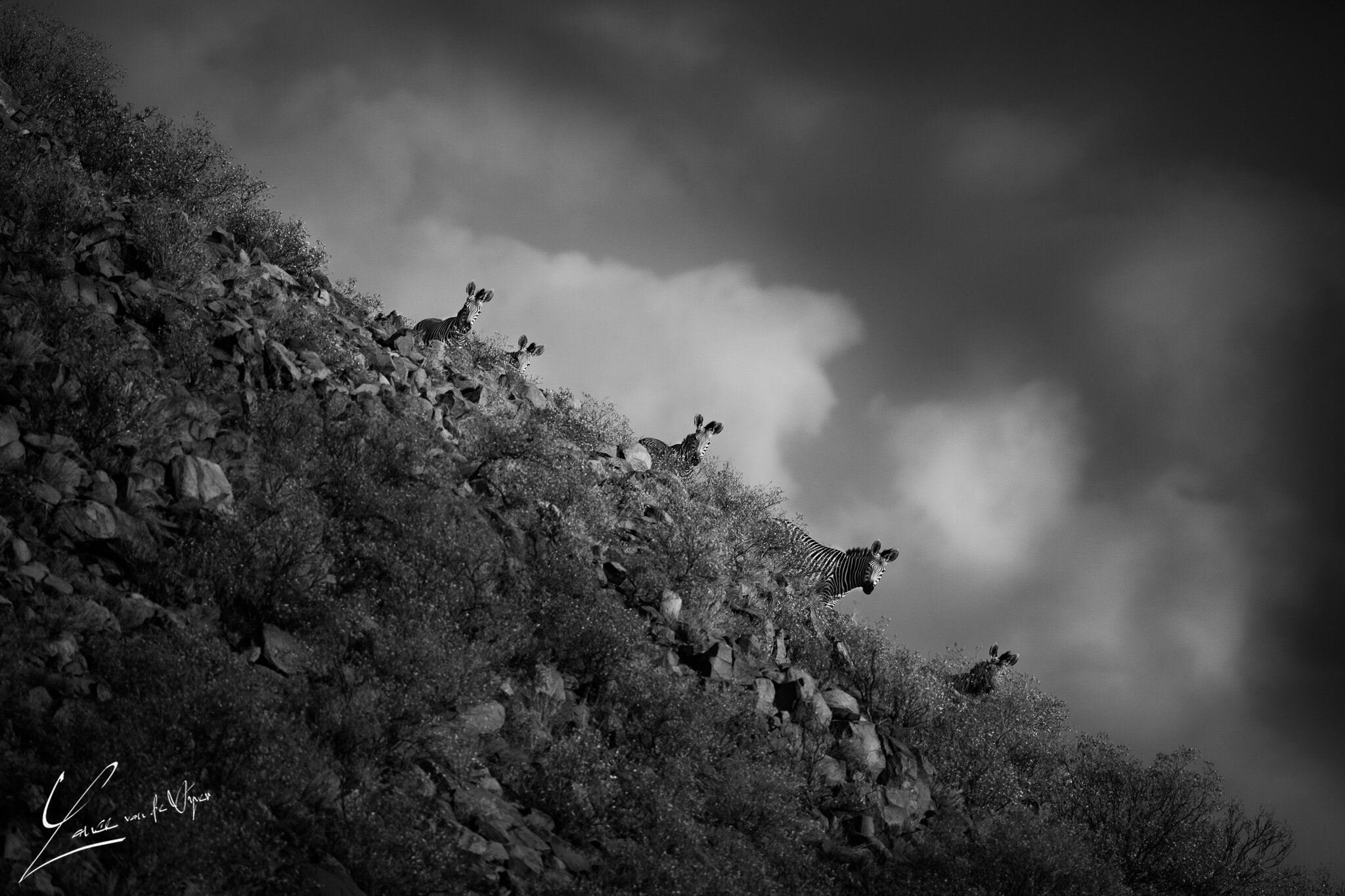 5DSR0300-Edit.jpg