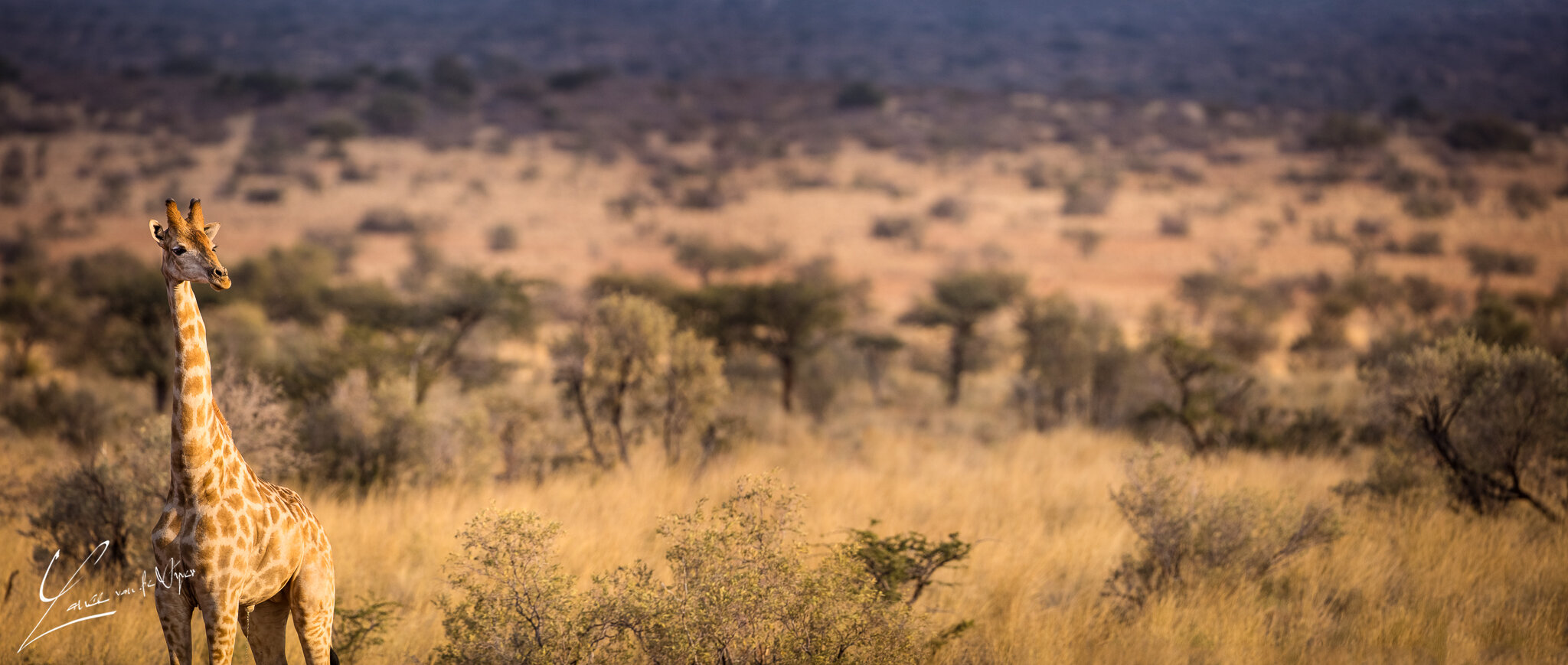 5DSR5389-Edit.jpg