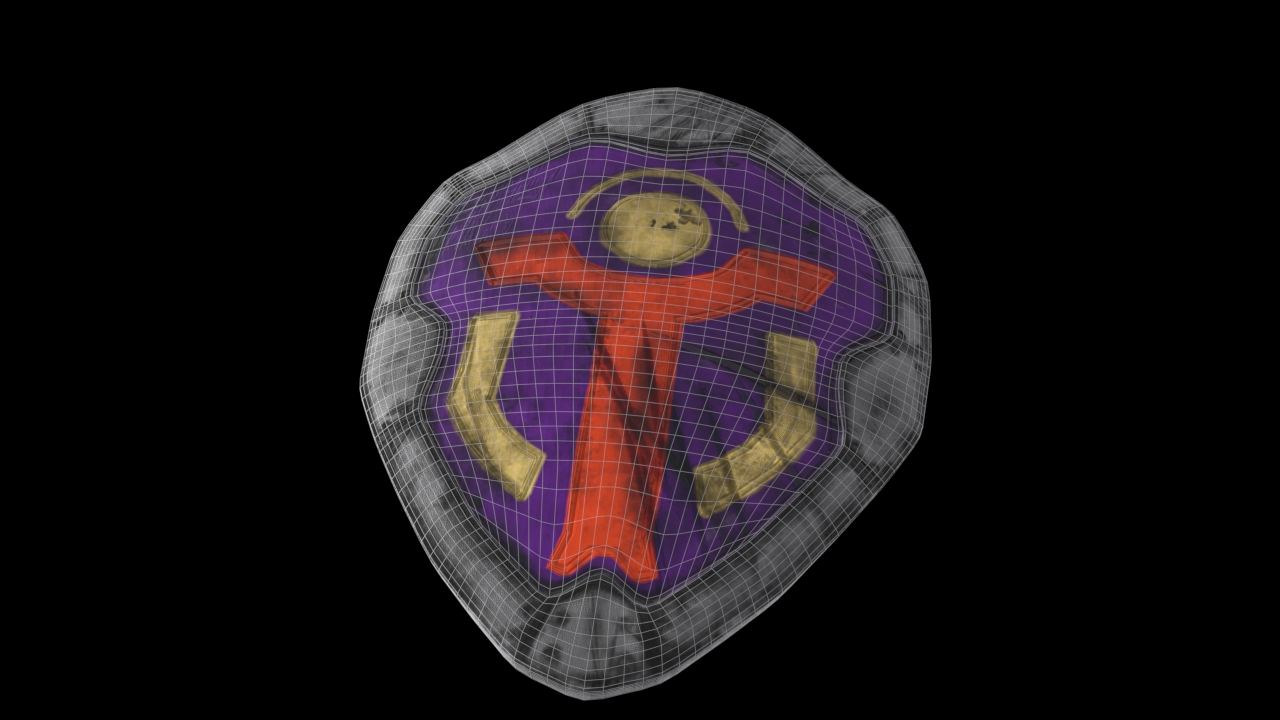 Shield Wireframe
