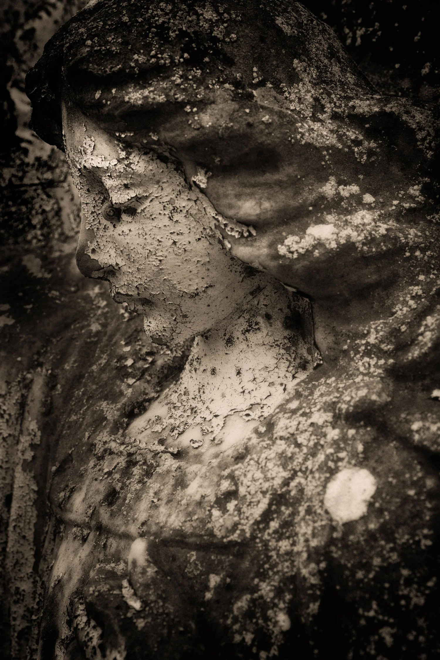 Youghal Angel by Barbara Moon