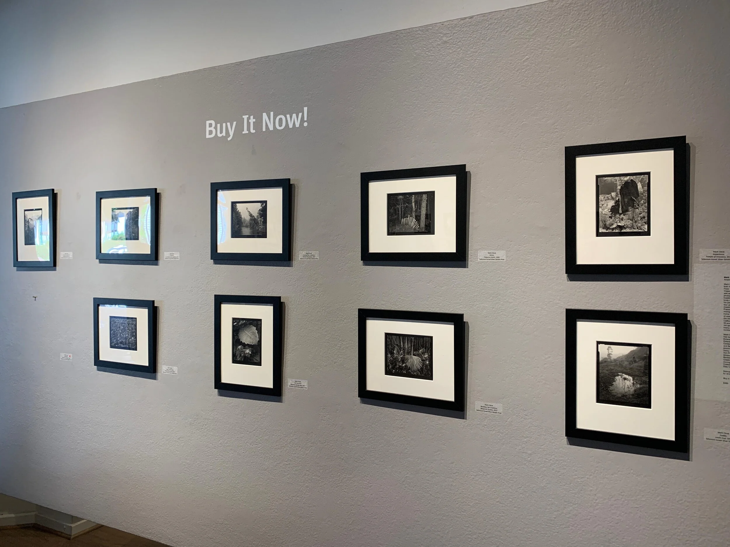 Mark Citret has a wonderful selection of platinum for the Buy It Now! wall. He is one of our speakers at Rendezvous this year.