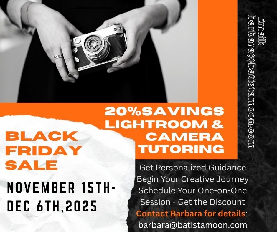 Copy of Lightroom Classic-4.jpg