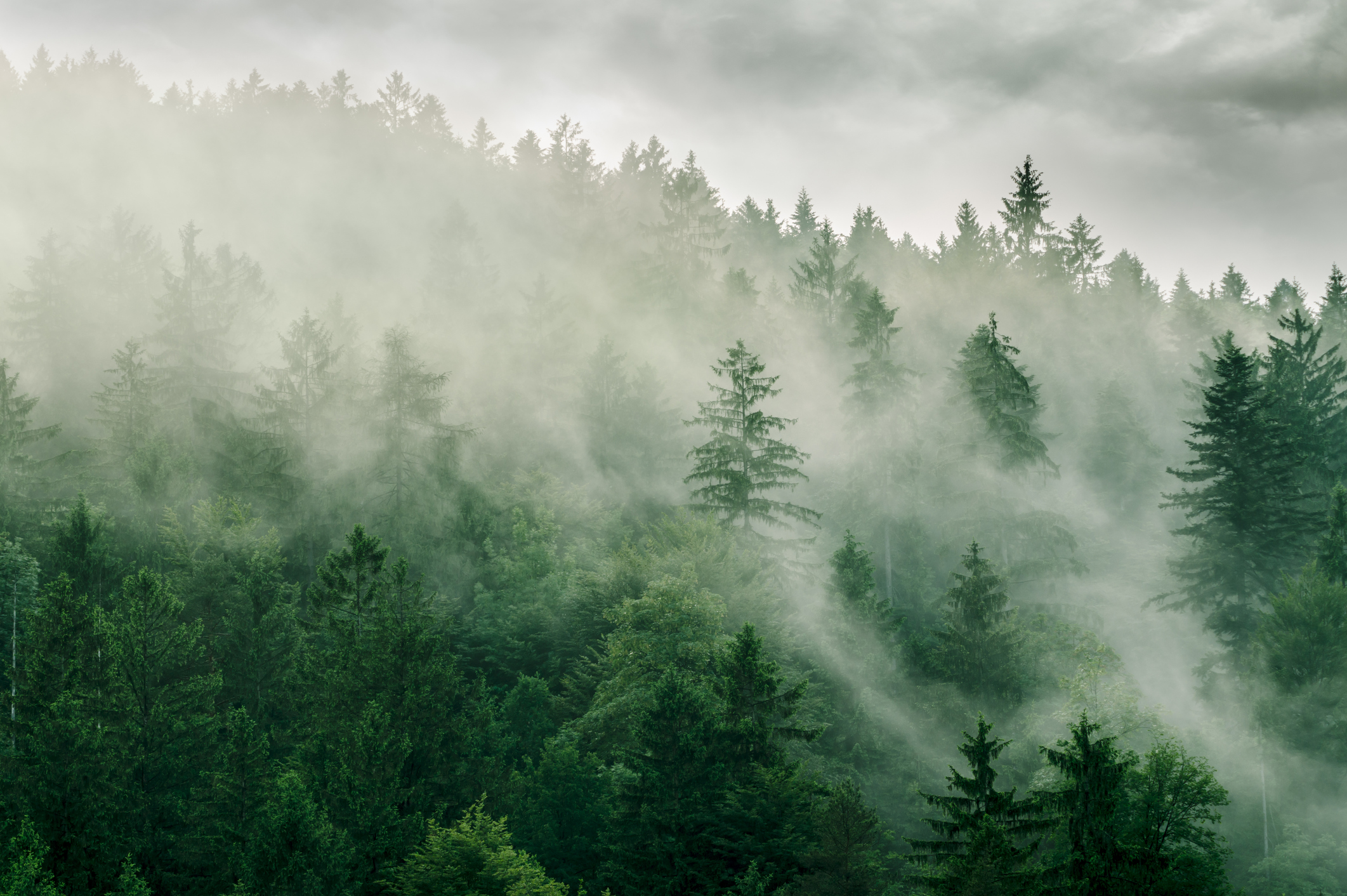 Photo by Zoran Kolundzija/iStock / Getty Images