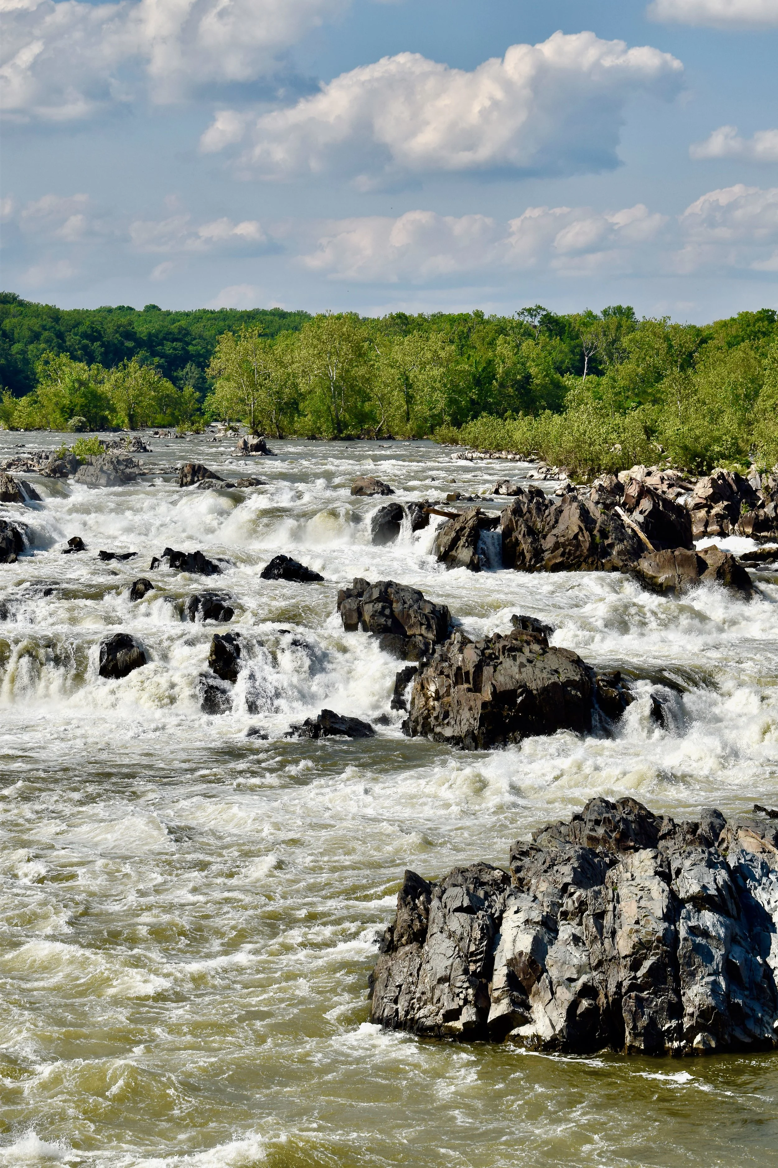 _DSC0895.jpg